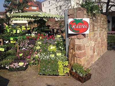 Obst- und Gemüsemarkt Kästel GbR
