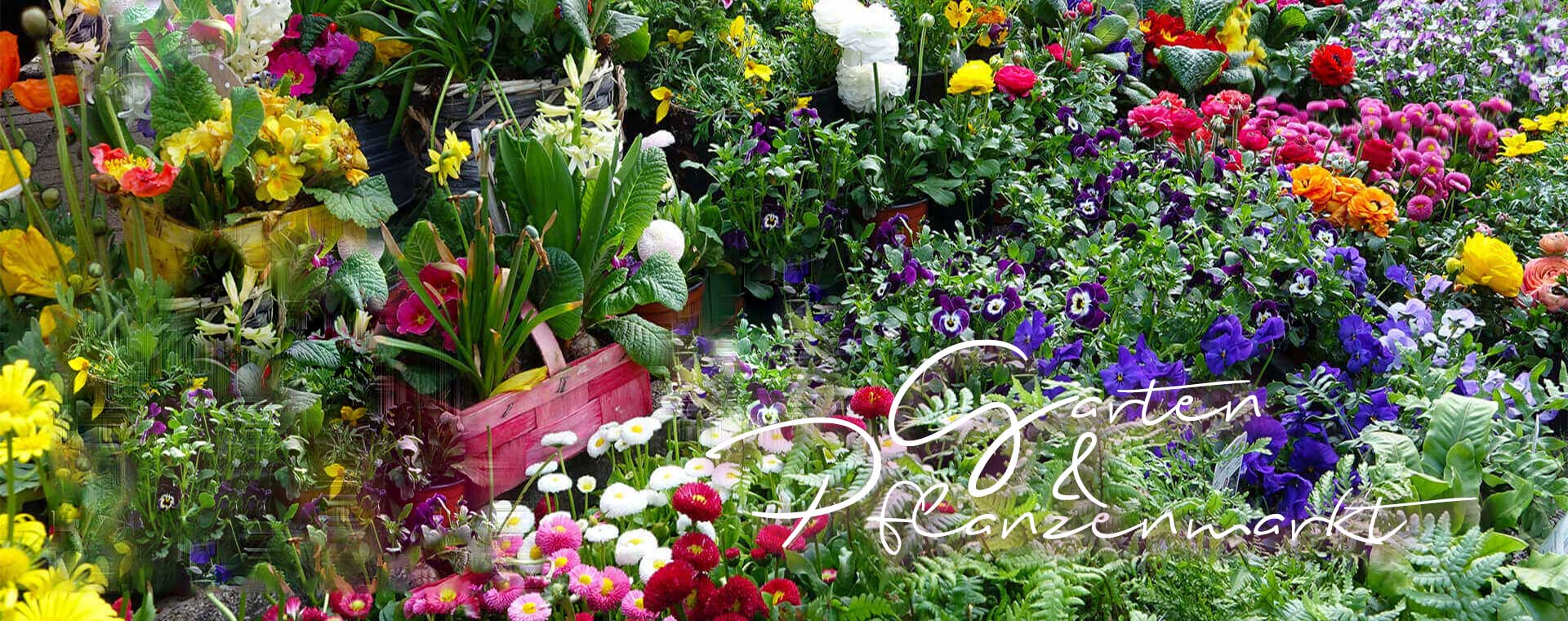 Garten- und Pflanzenmarkt