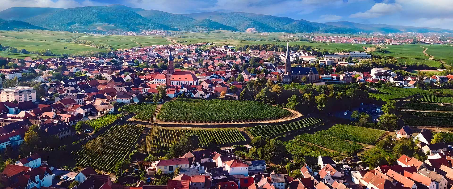 Luftaufnahme von Edenkoben