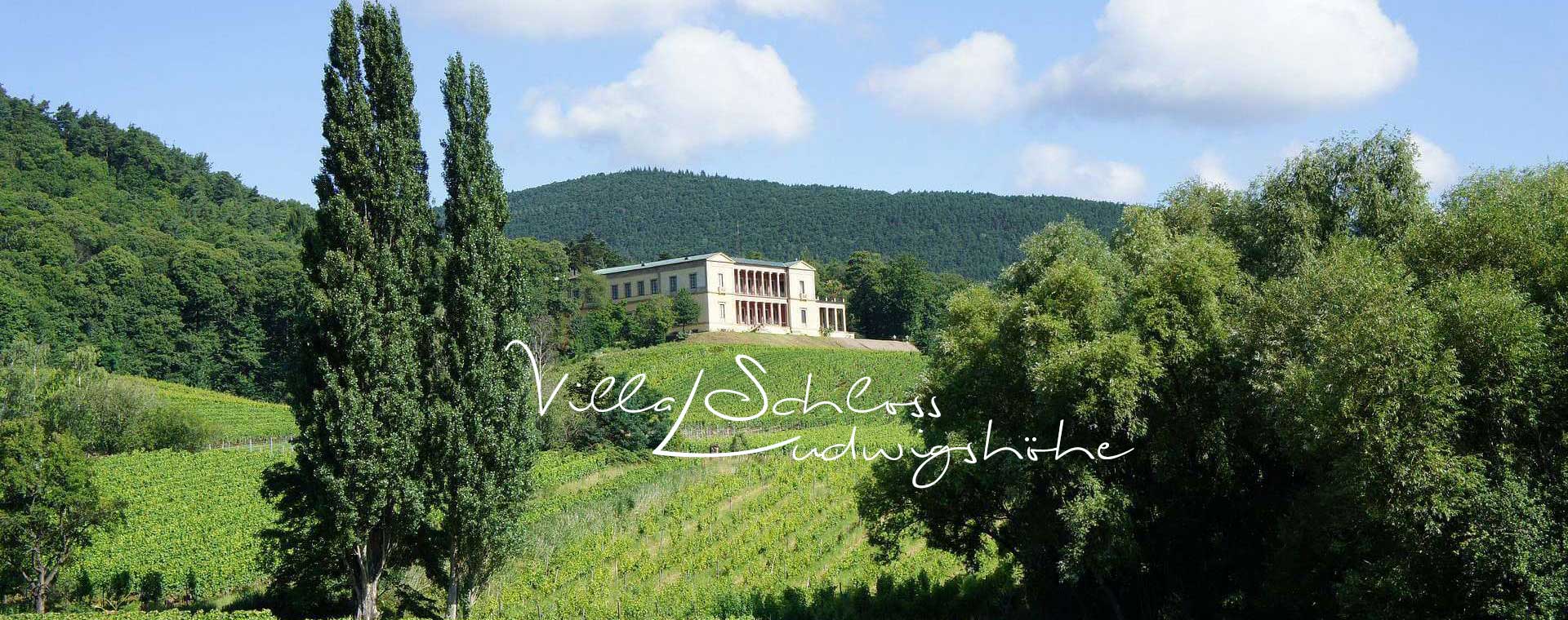 Villa Schloss Ludwigshöhe