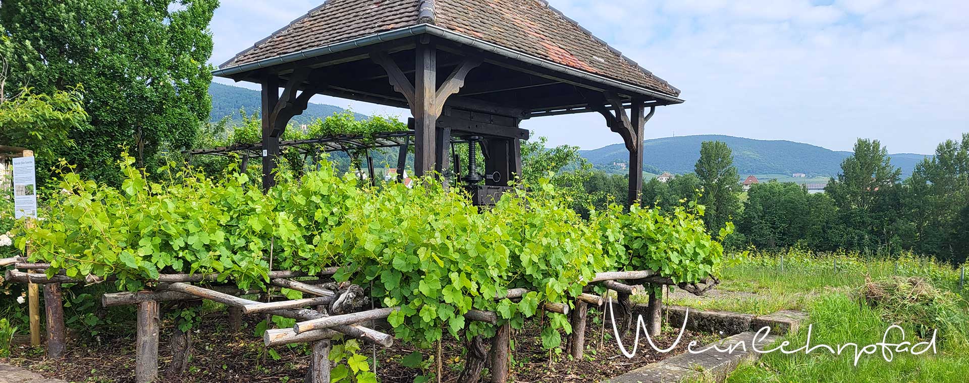 Der Kammertbau am Weinlehrpfad in Edenkoben