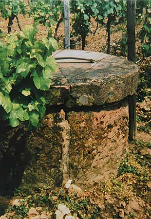 Brunnenspeicher bei Edenkoben - alte Aufnahme Brunnenspeicher bei Edenkoben - alte Aufnahme