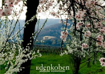 Ansichtskarten diverse Motive