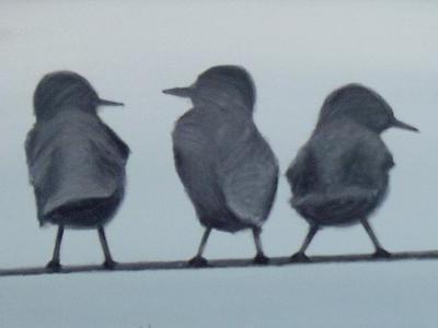 Werkschau aus drei Jahrzehnten