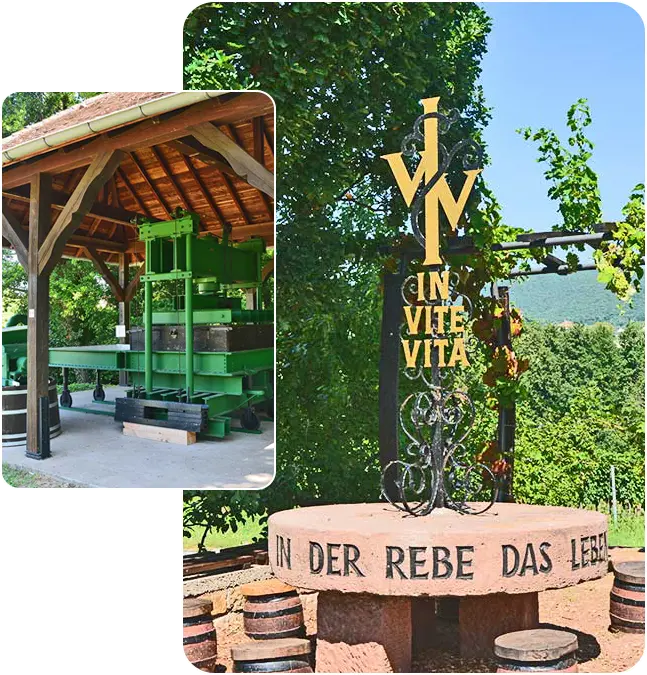 Kelteranlage am Weinlehrpfad in Edenkoben